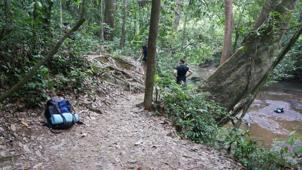 Hike u džungli Taman Negara