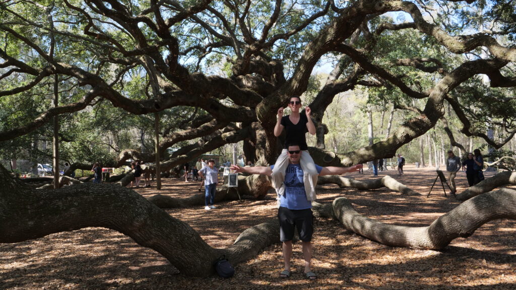 Stablo Angel Oak u Južnoj Karolini